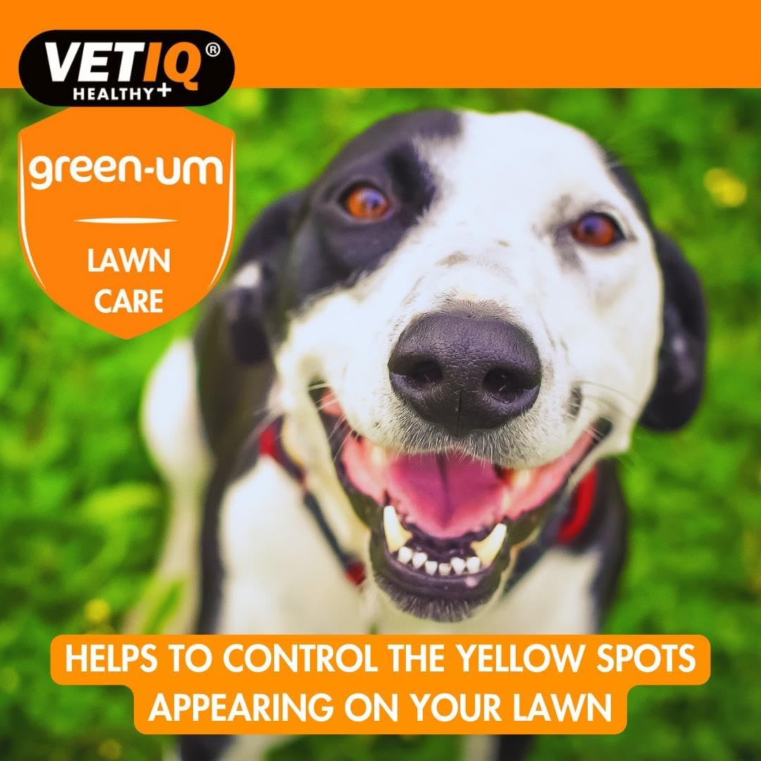 VETIQ Green-Um Lawn Burn Solution, Dog Urine Neutraliser Tablets to Control Nitrogen in Urine to Prevent Lawn Yellow Spots, 350 Tablets :Pet Supplies