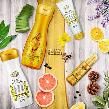 Daeng Gi Meo Ri Yellow Blossom Care Shampoo, Treatment, Mask 3 Pieces Set - Reducing Hair Loss, Hair Shine, Scalp Nourishing and Moisturizing : Beauty & Personal Care