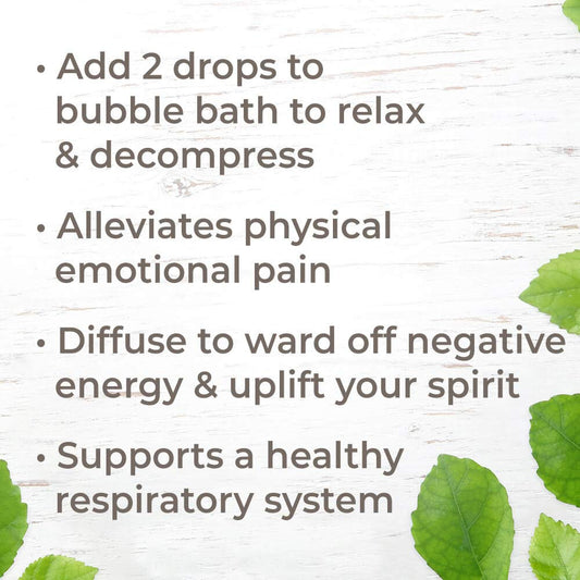Plant Therapy Palo Santo Essential Oil 100% Pure, Undiluted, Natural Aromatherapy, Therapeutic Grade 5 Ml (1/6 Oz)