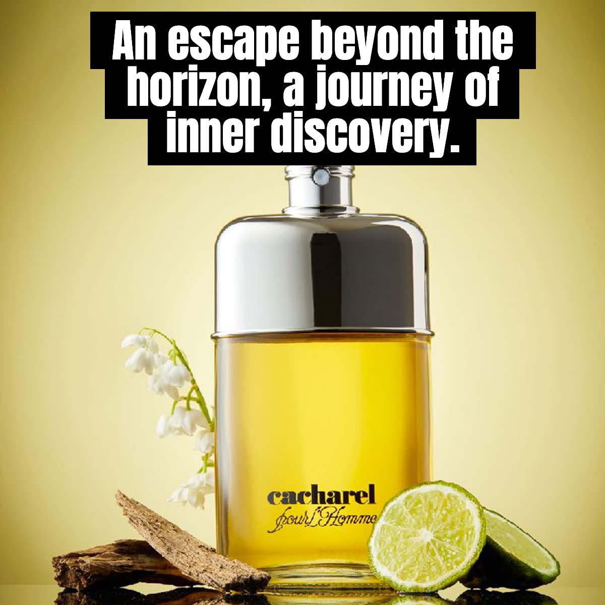 Cacharel Pour L'Homme Eau De Toilette Cologne For Men, Woody, Spicy And Floral Fragrance, Notes Of Bergamot, Lily Of The Valley Accord And Cedar Wood, Fresh Long Lasting Scent, 3.4 Fl Oz : Beauty & Personal Care