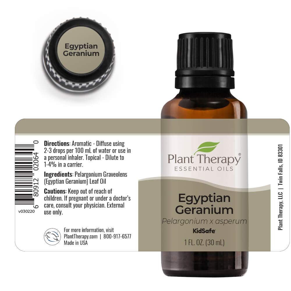 Plant Therapy Egyptian Geranium Essential Oil 100% Pure, Undiluted, Natural Aromatherapy, Therapeutic Grade 30 mL (1 oz) : Health & Household