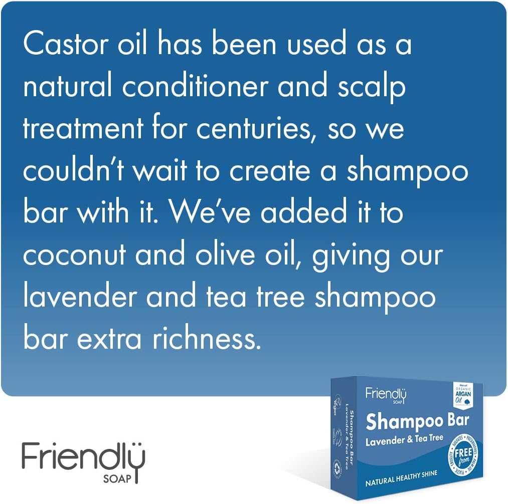 Friendly Soap Handmade Natural Lavender & Tea Tree Shampoo Bar (Case of 6) : Amazon.co.uk: Beauty