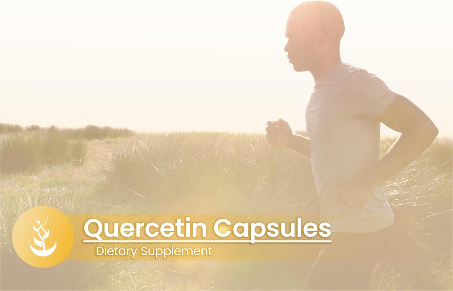 Pure Original Ingredients Quercetin (100 Capsules) Always Pure, No Additives Or Fillers, Lab Verified : Health & Household