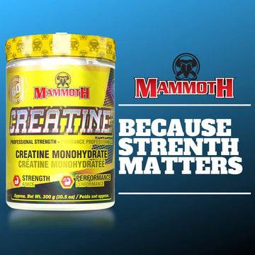 Mammoth Creatine 300Gr