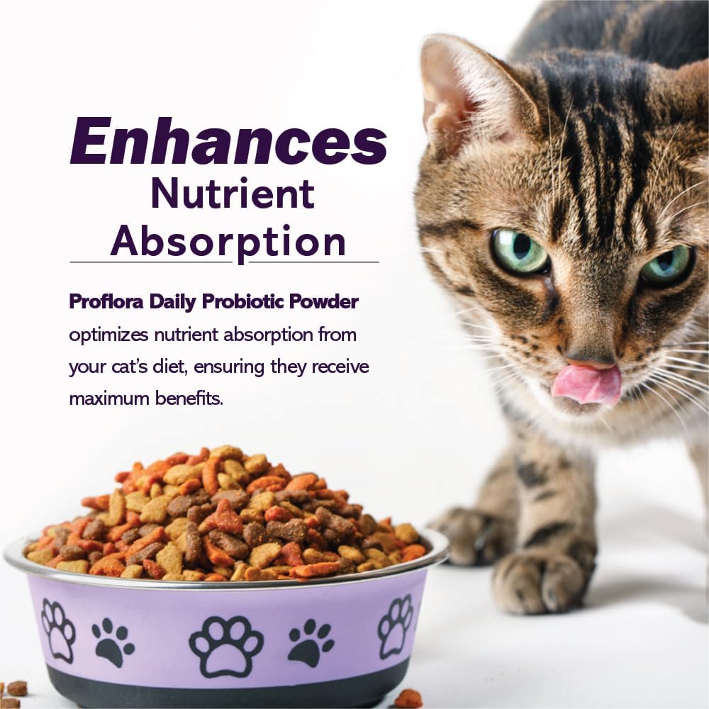 Proflora Probiotics For Cats-Complete Gut Health & Immune Support. Easy To Use Digestive Multi-Strain Probiotics. Easier Diet Transitions, Healthier Skin & Coat & Helps Treat Diarrhea. 30 Packets. : Pet Supplies
