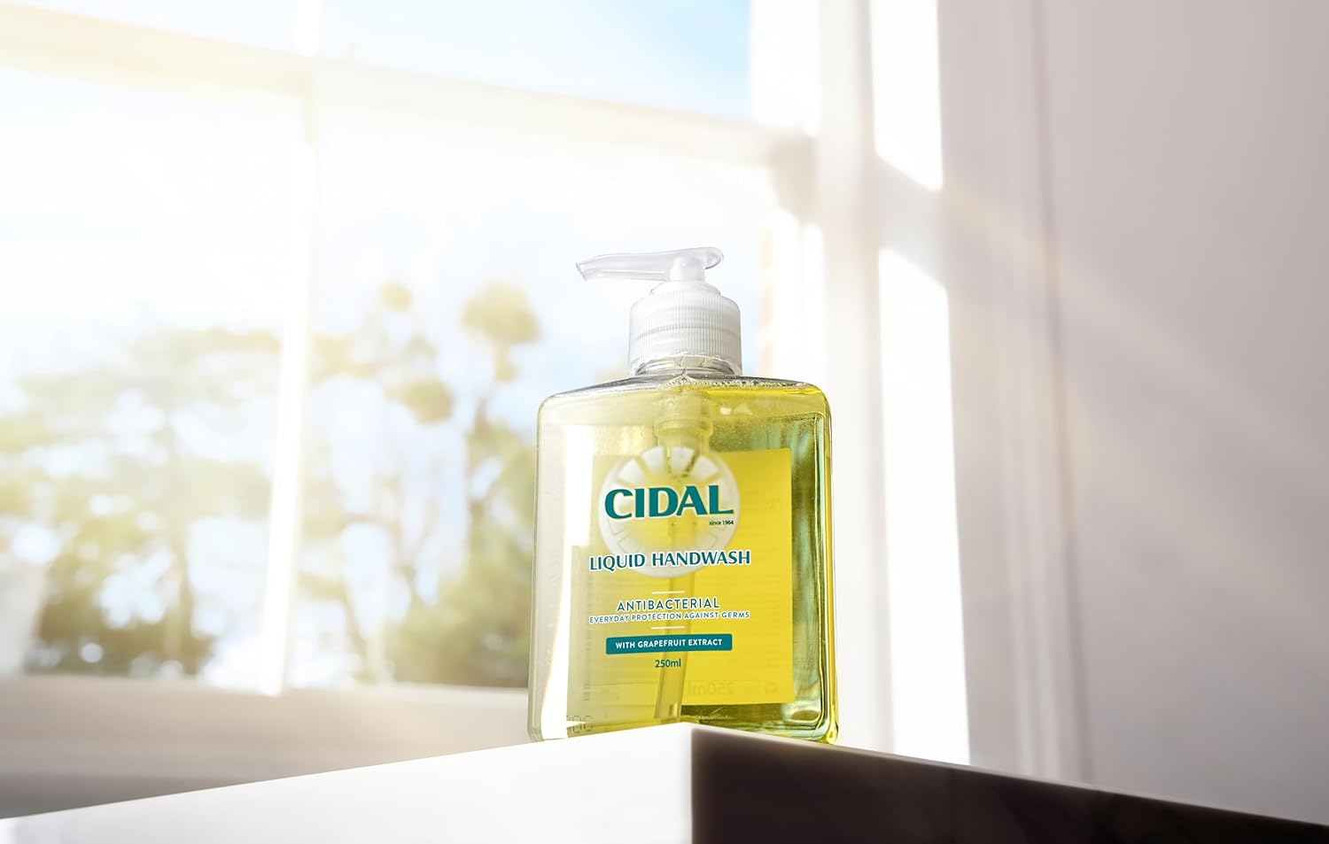 Cidal Grapefruit Handwash, antibacterial, uplifting fresh grapefruit scent, 250ml (Pack of 2) : Amazon.co.uk: Beauty