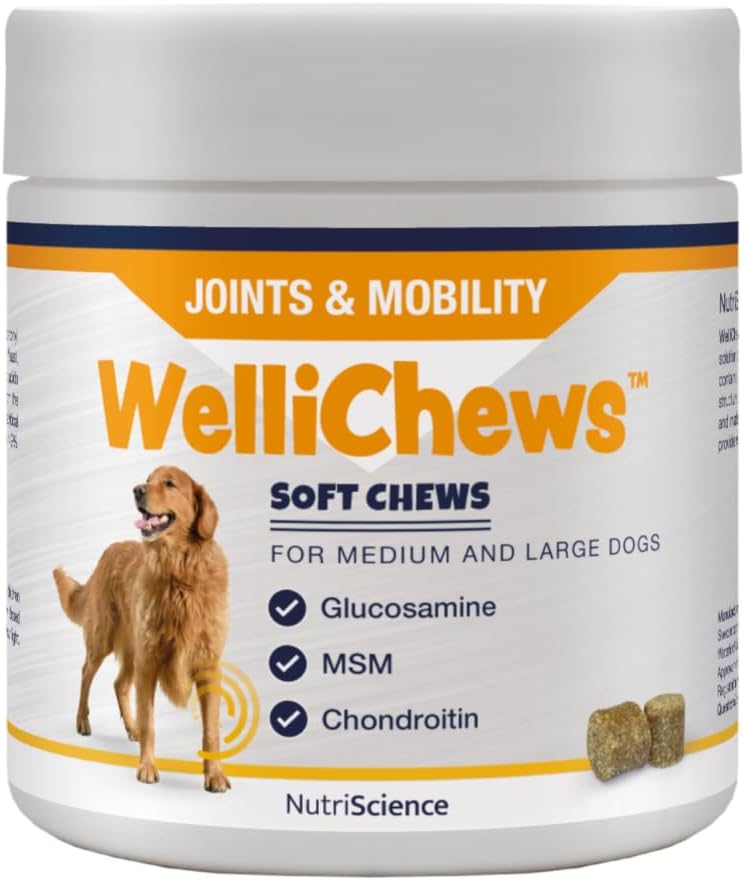 Wellichews Glucosamine for Medium & Large Dogs | Dog Joint Supplement with Glucosamine, Chrondroitin & MSM - Inflammatory Pain Relief Soft Chews for Hip & Joints - 60 Soft Chews?FP0435