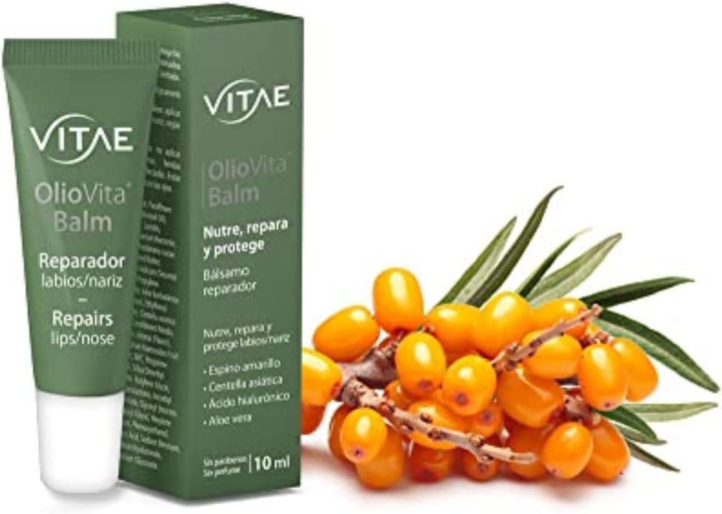 Vitae Oliovita Balm 10ml | Moisturizing Lip Balm | Sea buckthorn Oil, Hyaluronic Acid, Aloe Vera and Centella Asiatica | Nourishes, Hydrates and Protects : Amazon.co.uk: Beauty