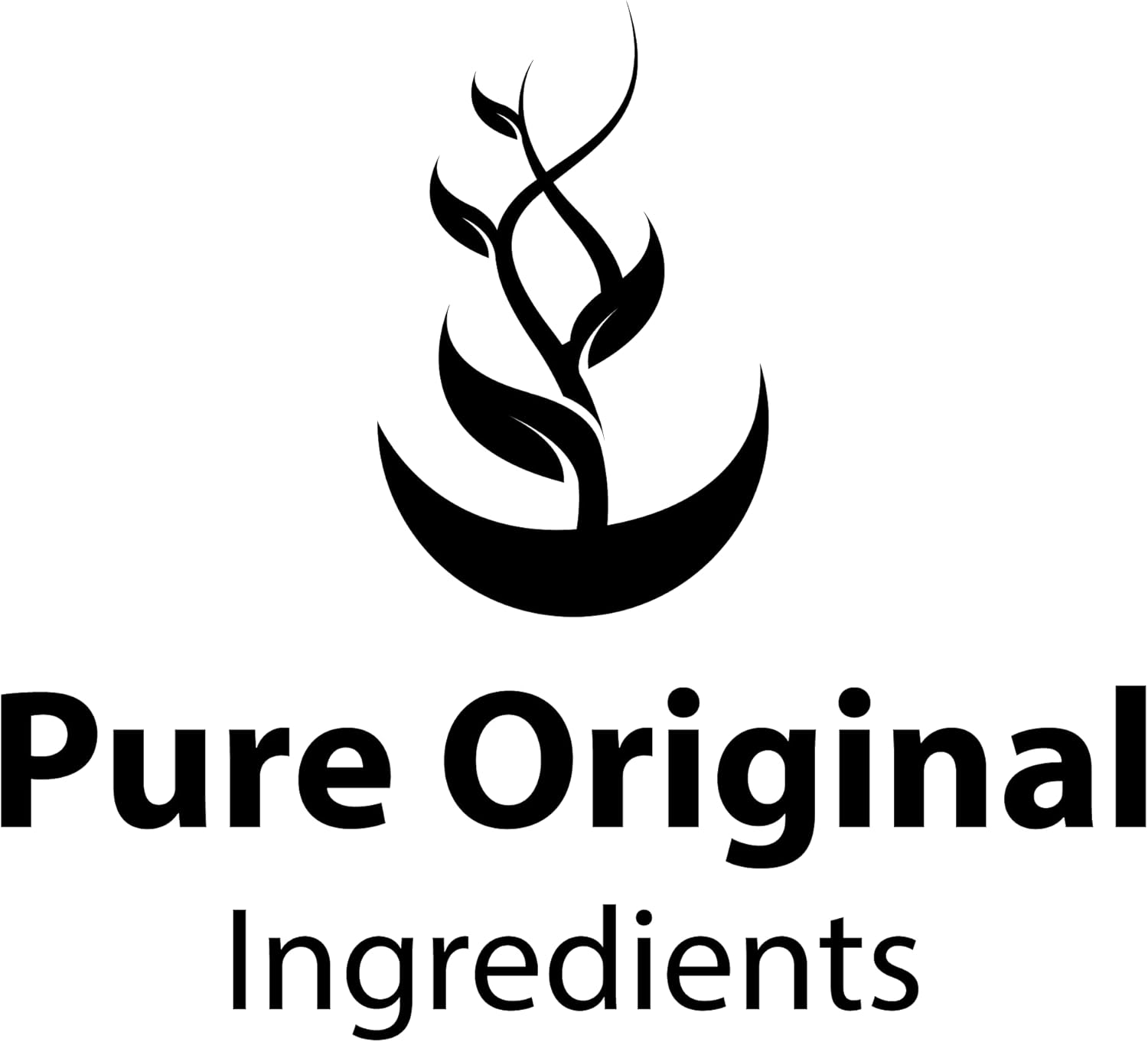 PURE ORIGINAL INGREDIENTS Resveratrol Powder, 8 oz, Phytoalexin, Polygonum Root Extract : Health & Household