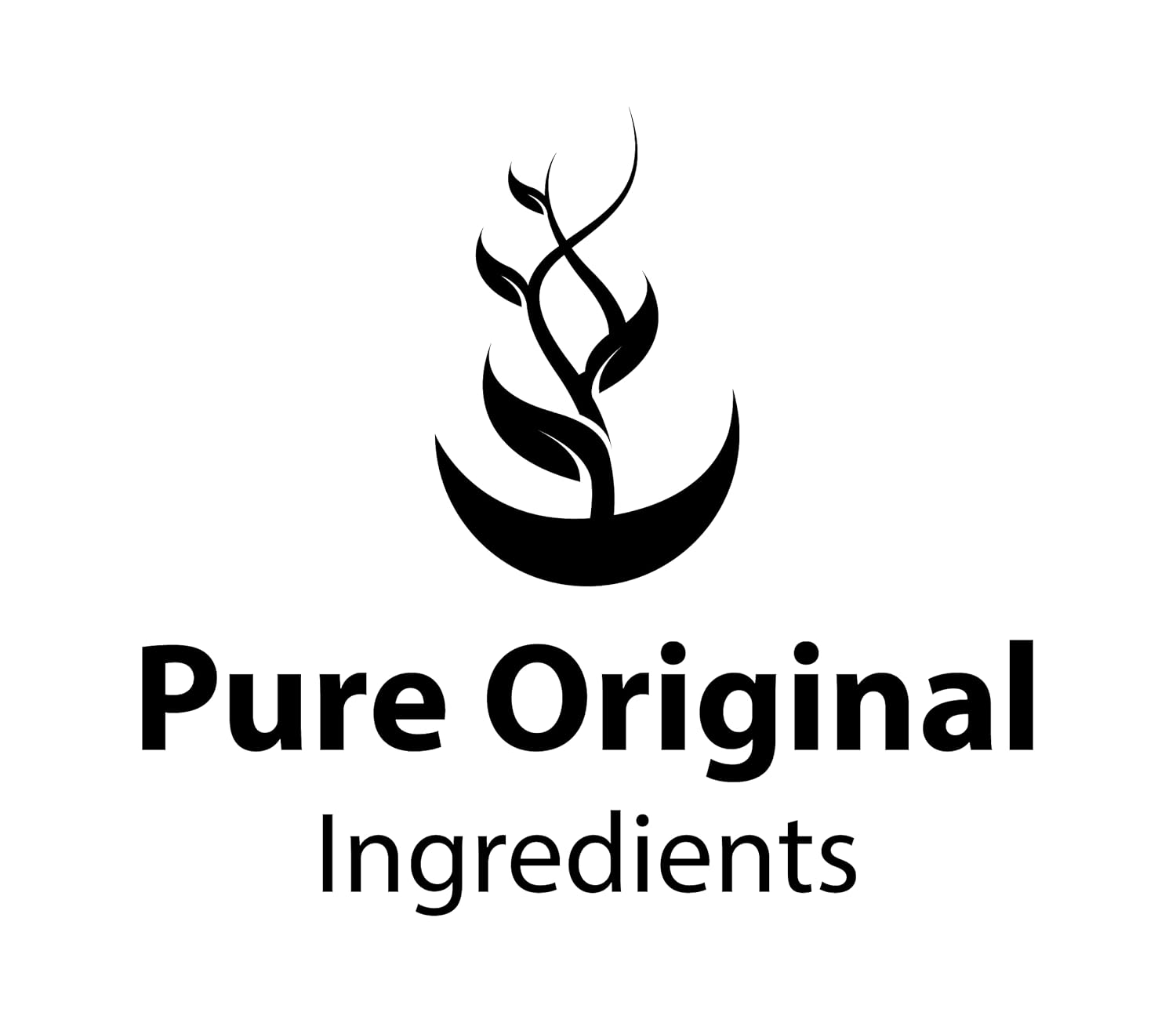 Pure Original Ingredients Camu Camu Powder (8oz), Source of Vitamin C, Brazilian Superfood : Health & Household