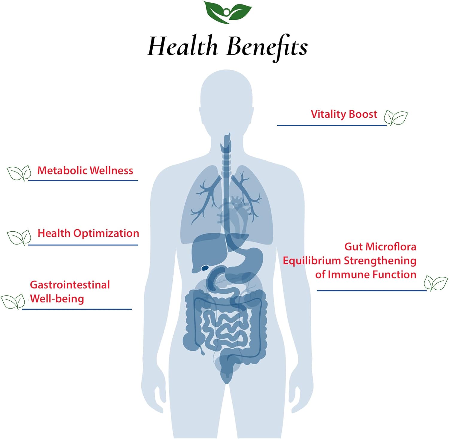 Lactobacillus Casei 300 Billion Cfu'S + 4 Strain Probiotic Capsules 60 Billion Cfu'S | Bundle & Save | L. Casei Powder No Additives | Digestive & Immune Support | Made In Usa | High Potency : Health & Household
