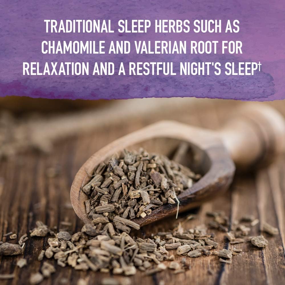 Garden Of Life Organics Elderberry & Sleep Immune Syrup - Immune Support For Adults And Kids 12 And Older With Zinc And Vitamin C, Organic Liquid With Sleep Herbs, No Added Sugars, 6.59 Fl Oz : Health & Household