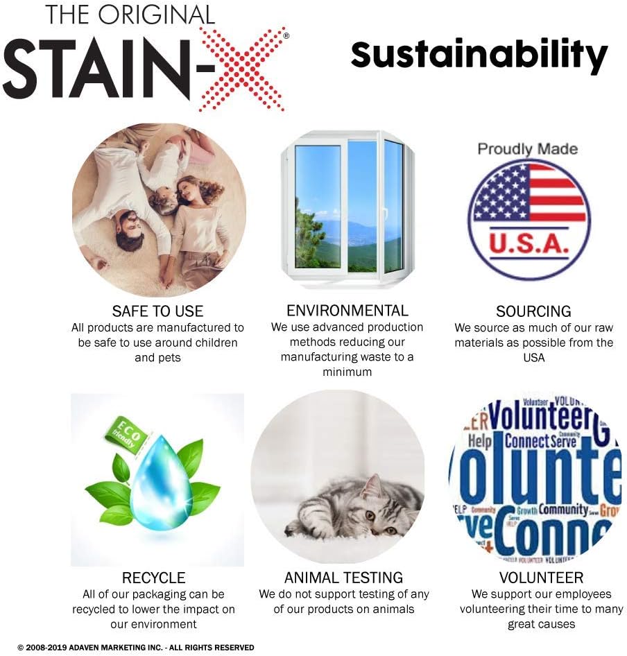 STAIN-X Stain Remover - Multi-Purpose Stain Remover for Carpet, Upholstery and Clothing - 24 Ounce : Health & Household