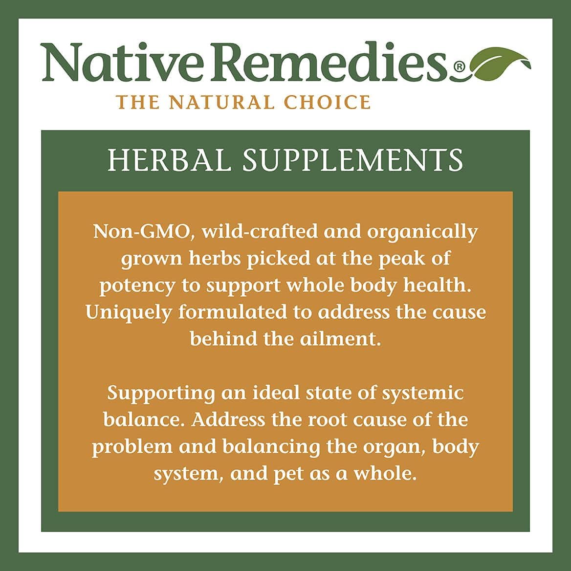 Native Remedies InstaClear Sinus Relief - All Natural Herbal Supplement for Clear, Healthy Sinuses During Colds, Allergies or Hay Fever - 29 ml : Health & Household