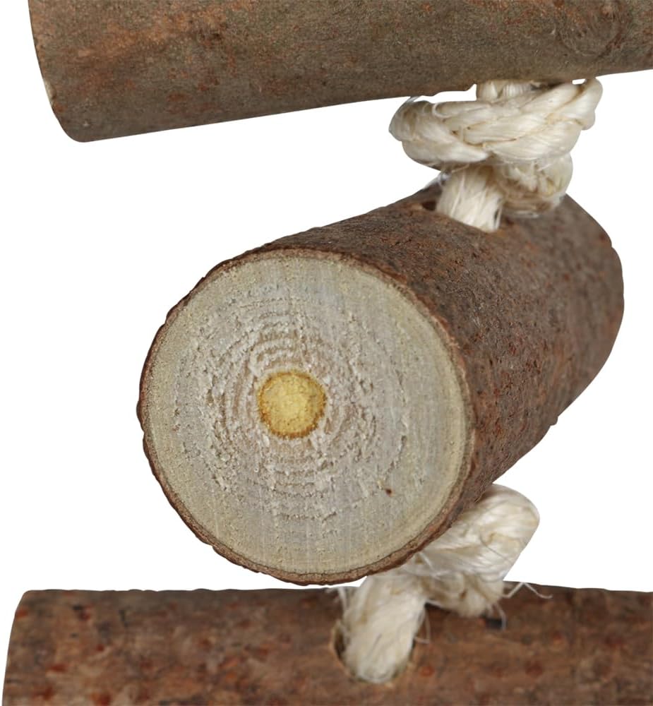 Naturals Log Block Stackers Parrot Toy - Medium :Pet Supplies