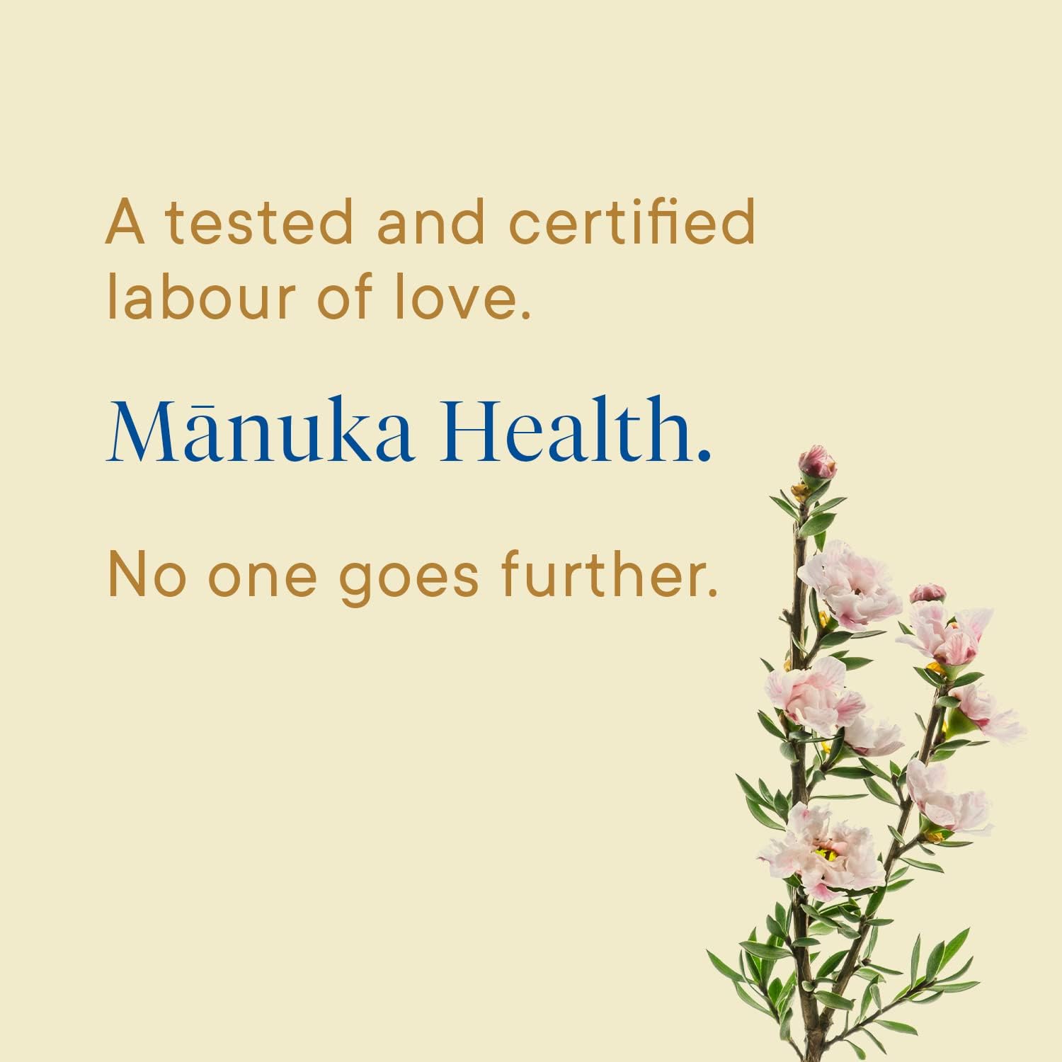 Manuka Health Bundle, Umf 13+/ Mgo 400+ Manuka Honey (8.8Oz Jar) And Umf 6+/Mgo 115+ On-The-Go Packets (12 Count), Superfood, Authentic Raw Honey From New Zealand