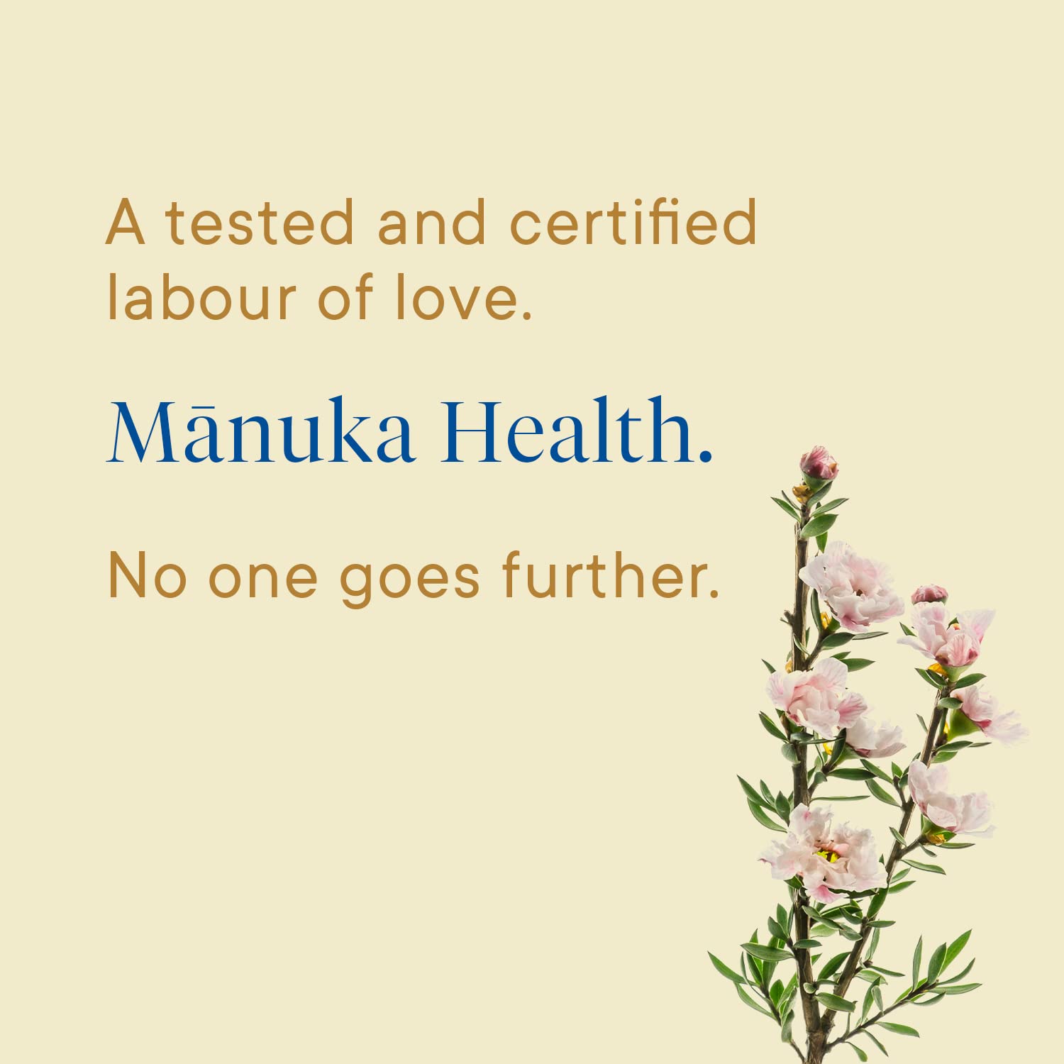 Manuka Health Umf 18+/Mgo 700+ Ultra High-Grade Manuka Honey (500G/17.6Oz), Superfood, Authentic Raw Honey From New Zealand