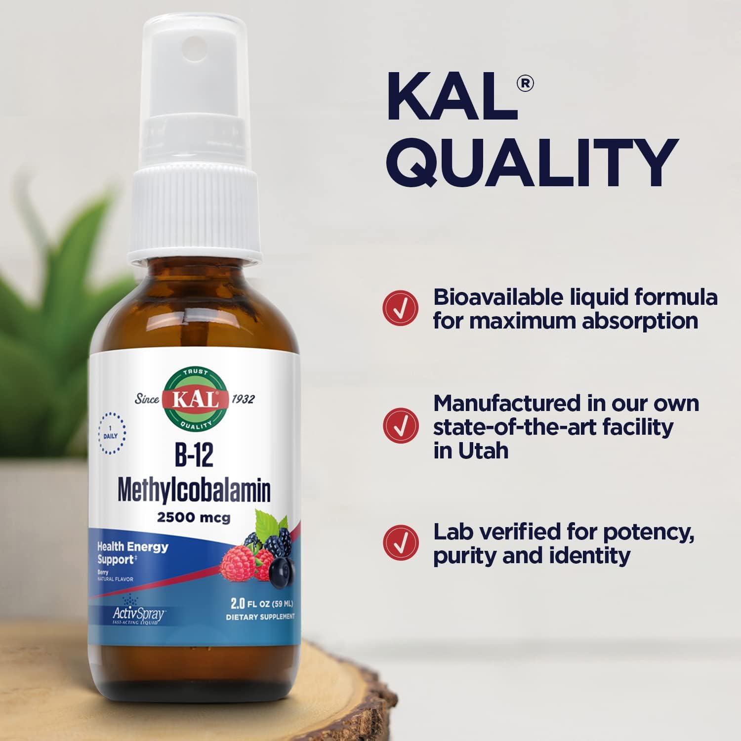 KAL Vitamin B12 Methylcobalamin ActivSpray 2500mcg, Healthy Energy, Metabolism, Nerve & Red Blood Cell Support,* Fast-Acting Liquid B12, Maximum Absorption, Natural Berry Flavor, 80 Servings, 2 fl oz : Health & Household