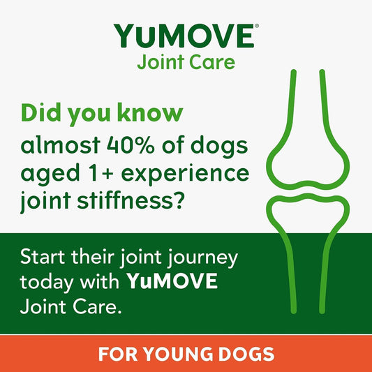 YuMOVE Young and Active Dog | Joint Supplement for Dogs to Support Active and Growing Joints Aged Under 6 | 60 Tablets Clear?YAUS120