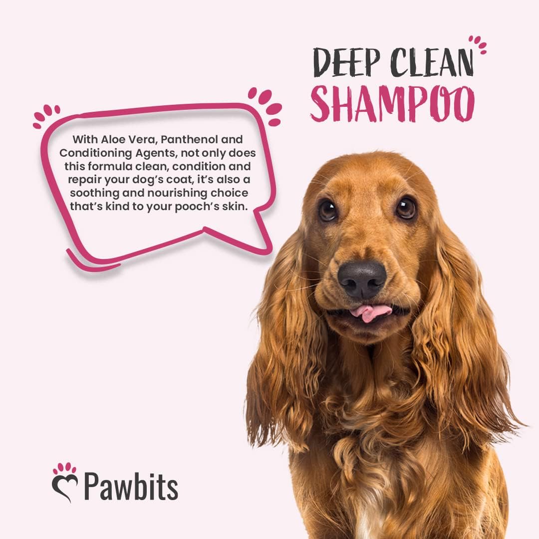 Pawbits Deep Clean Dog Shampoo & Conditioner for Smelly Dirty Dogs & Puppies – With Avocado B5 Aloe Vera. A Long Lasting Deodorising & Moisturising Shampoo – UK Made Cruelty Free 250ML :Pet Supplies