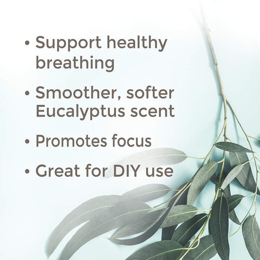 Plant Therapy Eucalyptus Radiata Essential Oil 30 Ml (1 Oz) 100% Pure, Undiluted, Therapeutic Grade