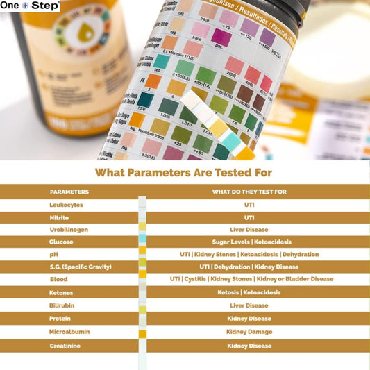 12 Parameter Urine Test Strips Creatinine, Microalbuim, Uti Infection, Ketone, Blood, Glucose Testing Sticks (200 Tests - 2 Tubs)