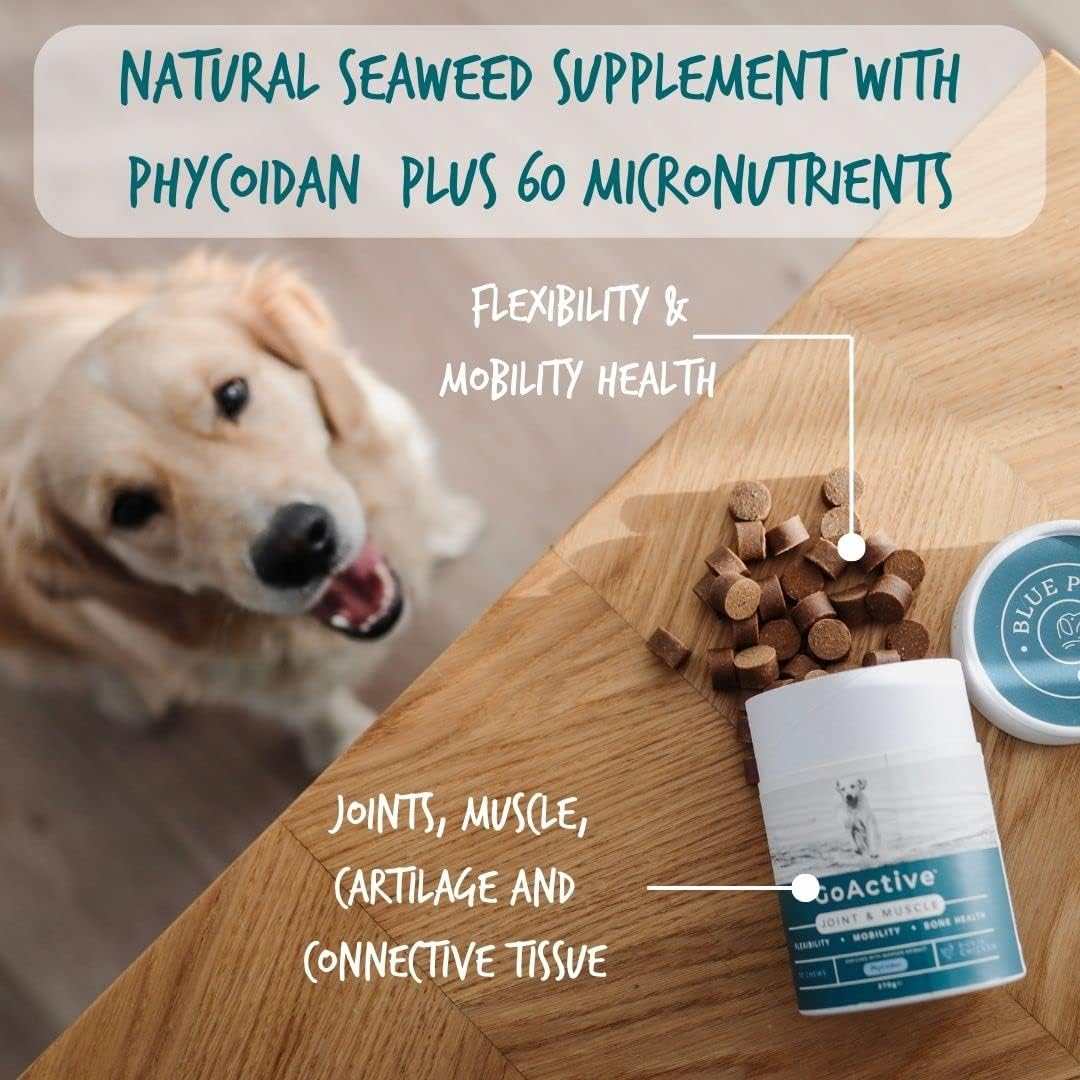 Blue Pet Co - GoActive Joint & Muscle Supplement for Dogs - Promotes Flexibility, Mobility & Bone Health - Enriched with Seaweed Extract PhyCoidan - With Peanut Butter - 90 Chews : Amazon.co.uk: Pet Supplies