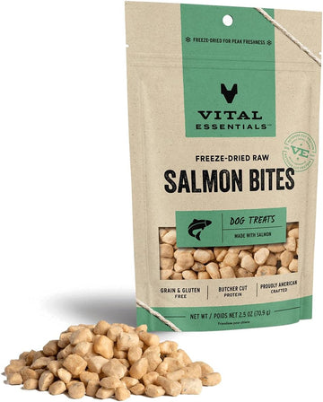 Vital Essentials Freeze Dried Raw Salmon Bites Dog Treats, 2.5 Oz | Premium Quality High Protein Training Treats | Grain Free, Gluten Free, Filler Free