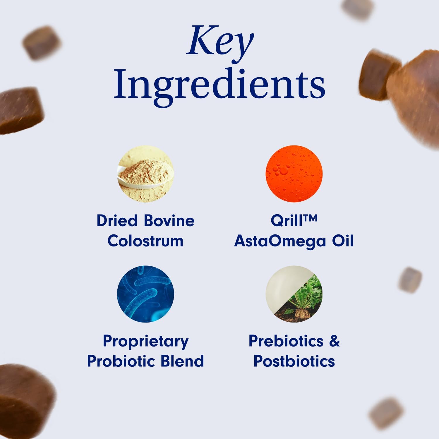 PetLab Co. Allergy & Immune Daily Probiotics for Dogs. Supports Yeast Production, Seasonal Allergies, Intermittent Itchiness, Gut & Digestive Health - 30 Chews - Available in Small, Medium, & Large : Pet Supplies