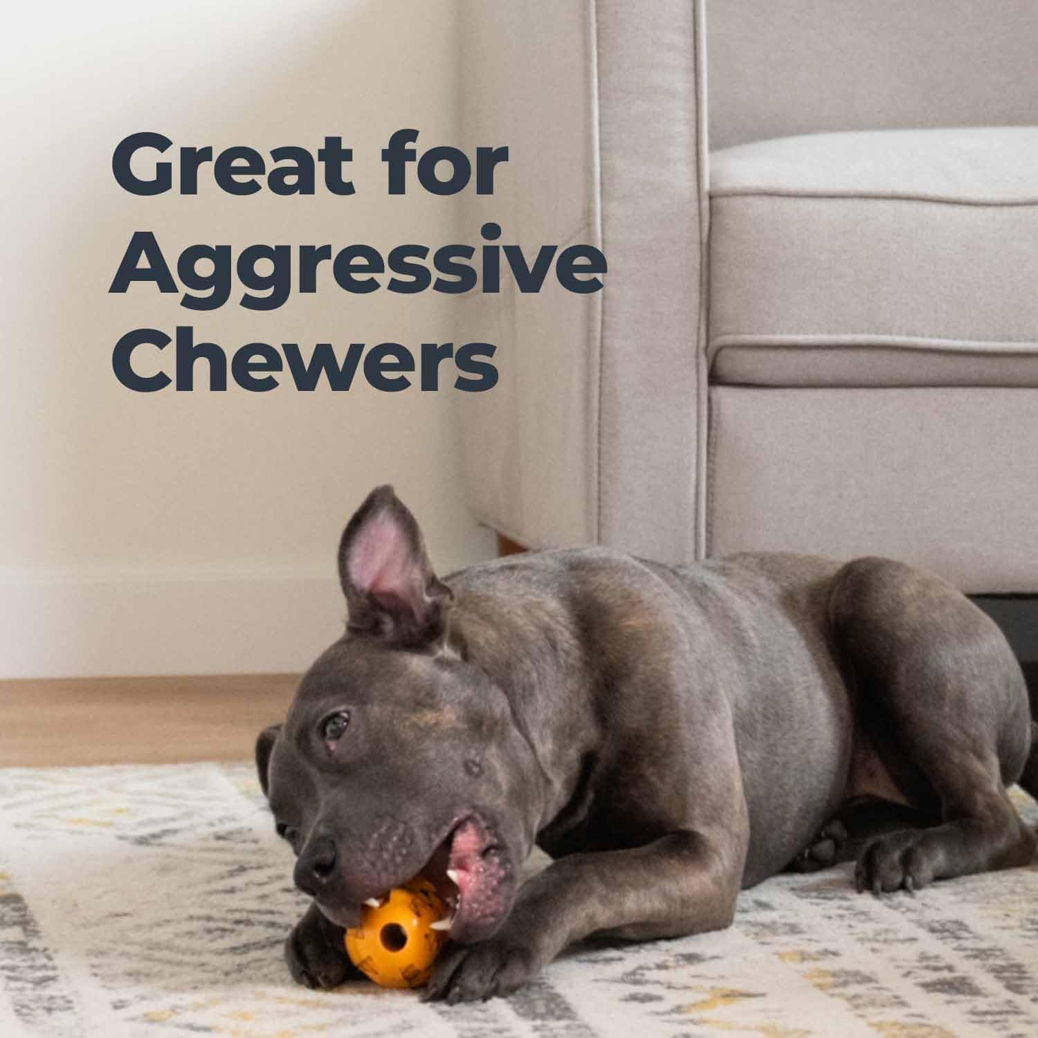 Pet Supplies : Oxyfresh Dog Dental Toy - Best Durable Rubber Dog Chew Toy for Aggressive Chewers - Removes Plaque, Cleans Teeth & Freshens Breath Without Brushing (Large) : Amazon.com