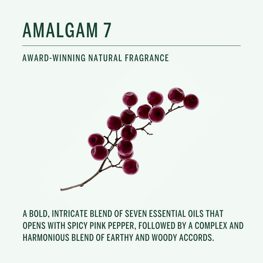 Corpus - Amalgam 5 Aromatic Hand Wash With Argan Oil + Vitamin E | Cleanse, Soften, Smooth, Refresh | Vegan, Plant-Based, Cruelty-Free, Non-Toxic, Made In The Usa (10 Fl Oz)