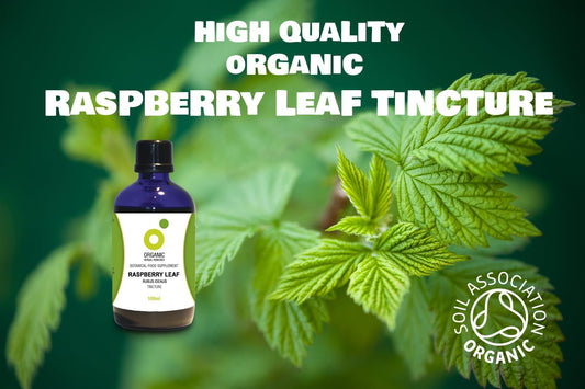 Organic Herbal Remedies 100Ml Raspberry Leaf Tincture