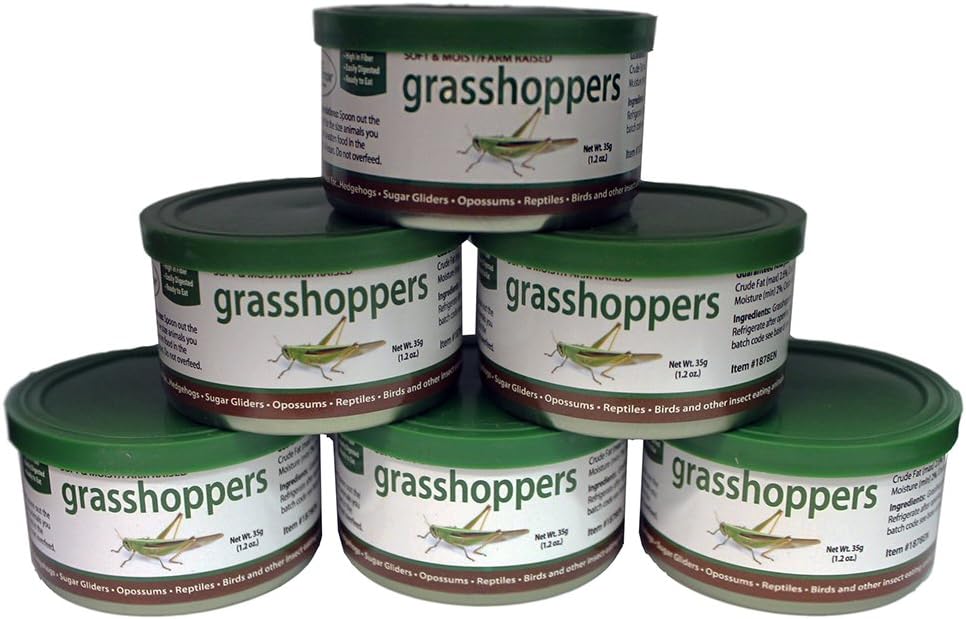 Canned Grasshoppers (1.2 Oz. 6 Pack) - Healthy High Protein Insect Treat - Hedgehogs, Sugar Gliders, Reptiles, Wild Birds, Chickens, Lizards, Bearded Dragons, Skunks, Opossums, Fish, Amphibians