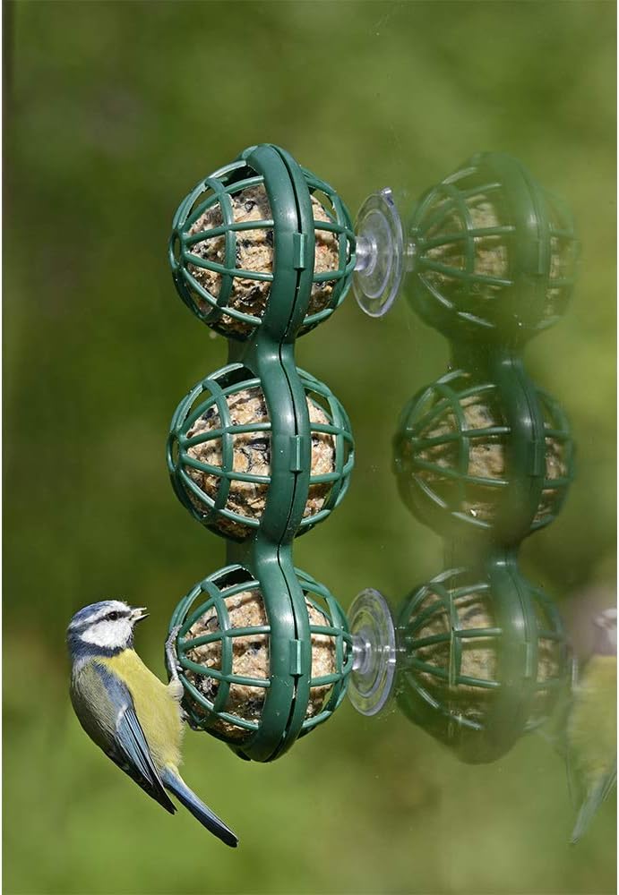 Jacobi Jayne BB-2 Basketball Bird, Suet Ball, Window Feeder, Green, 240.0 mm*80.0 mm*85.0 mm :Garden