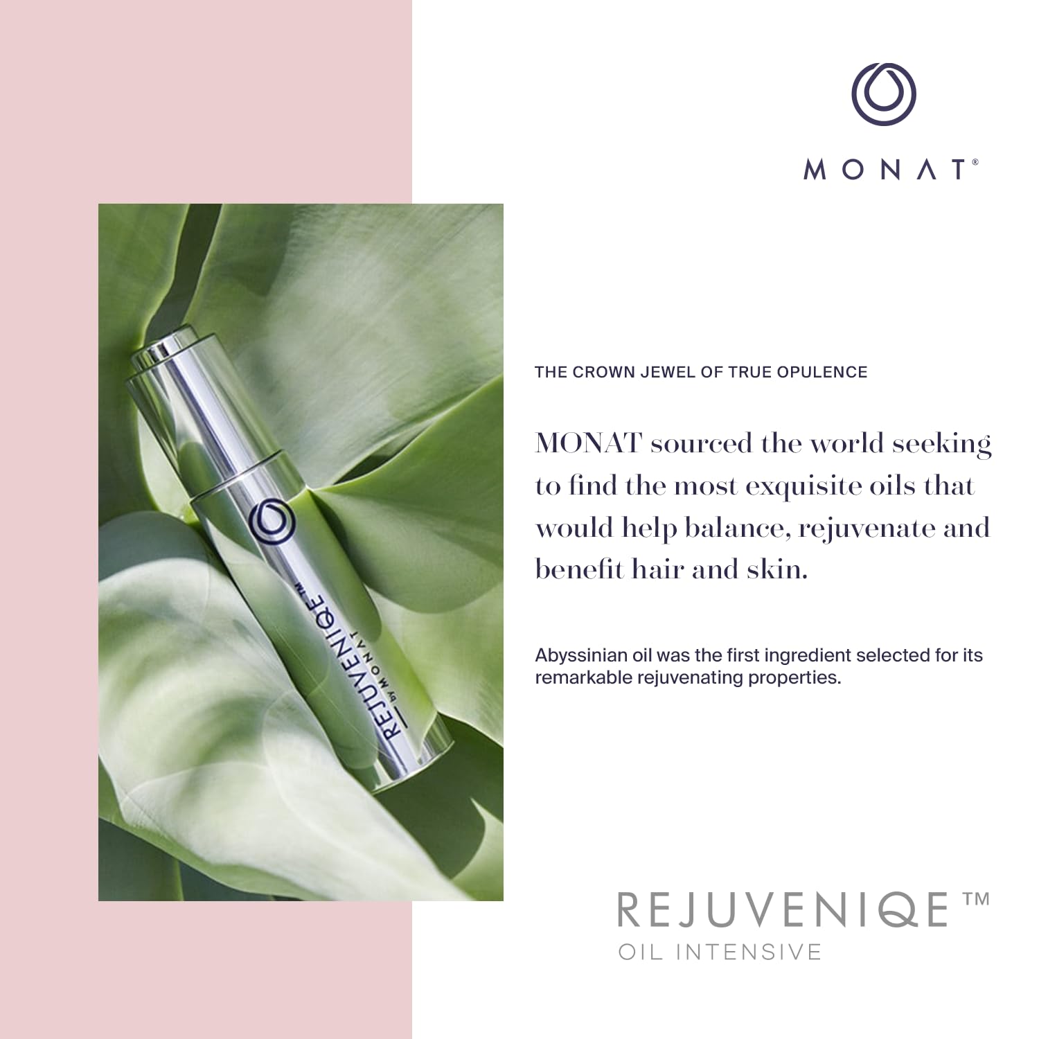 MONAT REJUVENIQE® Oil Multi-Purpose Hair & Skin Treatment with 13+ Natural Plant and Essential Oils, Hydrates and Strengthens, 30 ml (1.0 fl.oz.) : Beauty & Personal Care