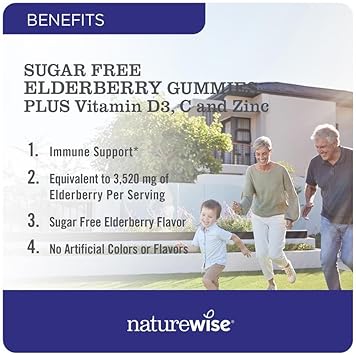 Naturewise Sambucus Elderberry Gummies - Sugar-Free - Daily Immune Support Supplement For Kids And Adults*, With Vitamin C, Vitamin D3, Zinc - Vegan, Gluten Free, Non-Gmo - 60 Gummies[1-Month Supply]