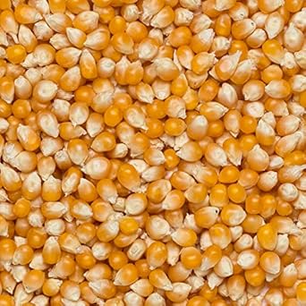 Wholefood Earth Popping Corn 3 Kg | Gmo Free | Natural |