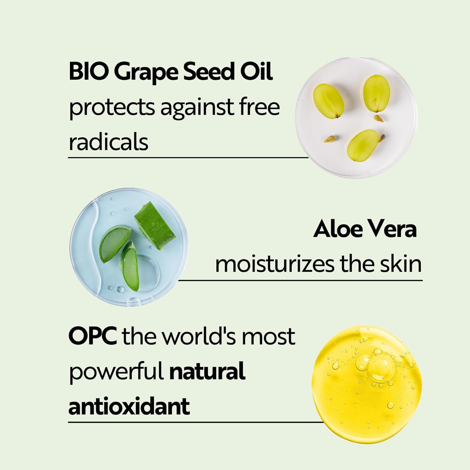 M. Asam Vino Gold 24H Facial Cream (1.69 Fl Oz)- 24H Day Cream & Night Moisturizer Against Lines & Wrinkles, Protection Against Skin Aging, Anti-Aging, Vegan Facial Care, Skincare For Women