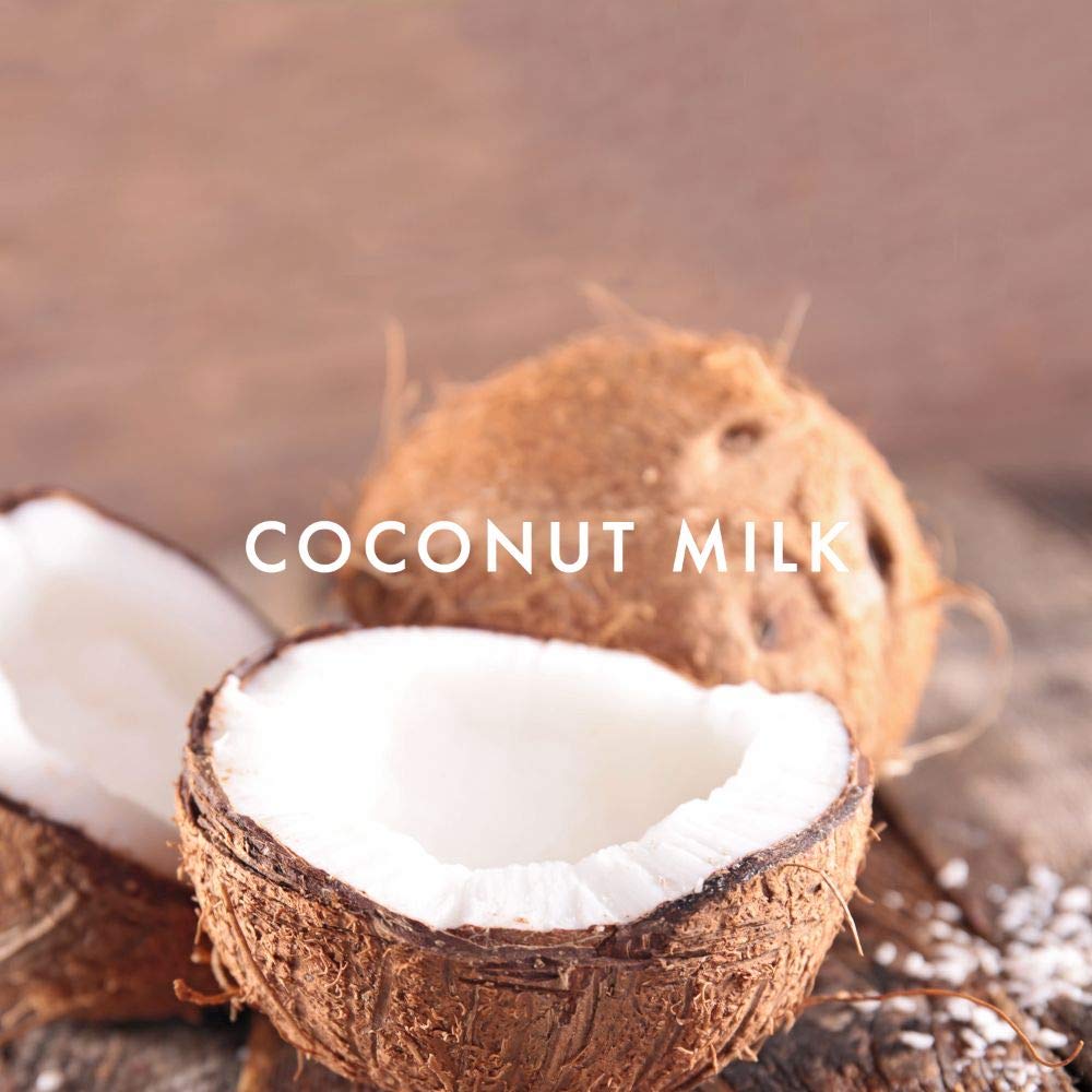 Alfred Sung Jewel Eau De Toilette Spray, Perfume For Women 3.4Oz : Sung Alfred Sung Perfume : Beauty & Personal Care