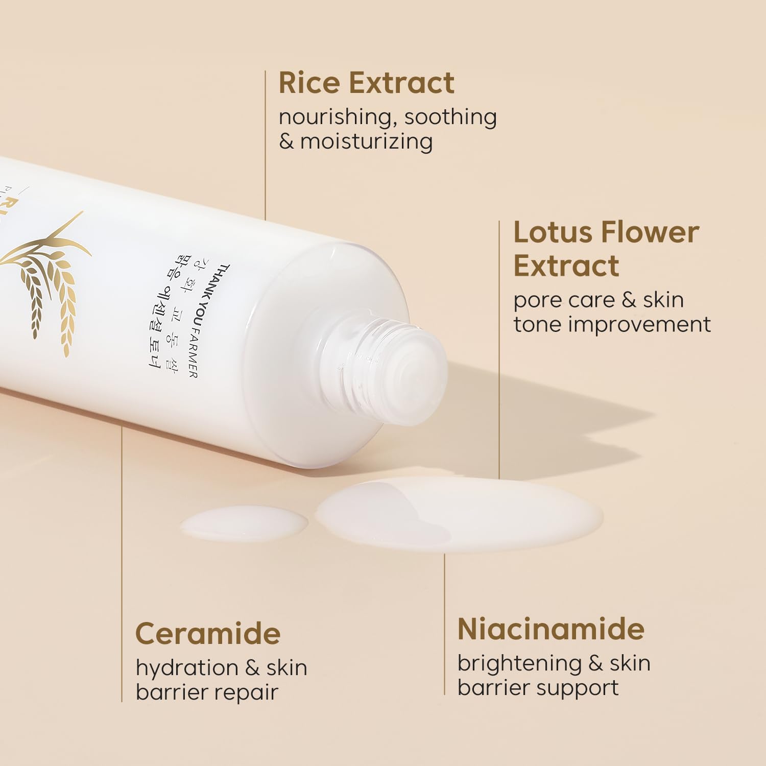 Thankyou Farmer Rice Pure Skincare Set, Full Size Toner(7.03 Fl Oz) + Mini Size Ampoule(0.35 Fl Oz) Korean Skincare Set, Glass Skin Korean Skincare : Beauty & Personal Care