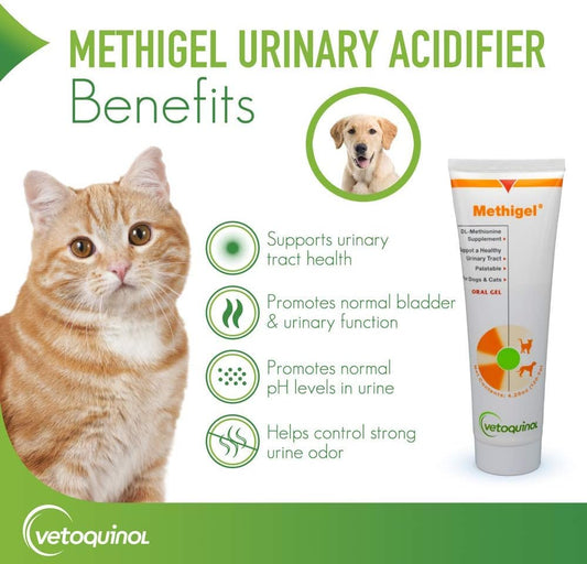 Vetoquinol Methigel Urinary Acidifier to Promote Urinary and Bladder Health for Dogs & Cats