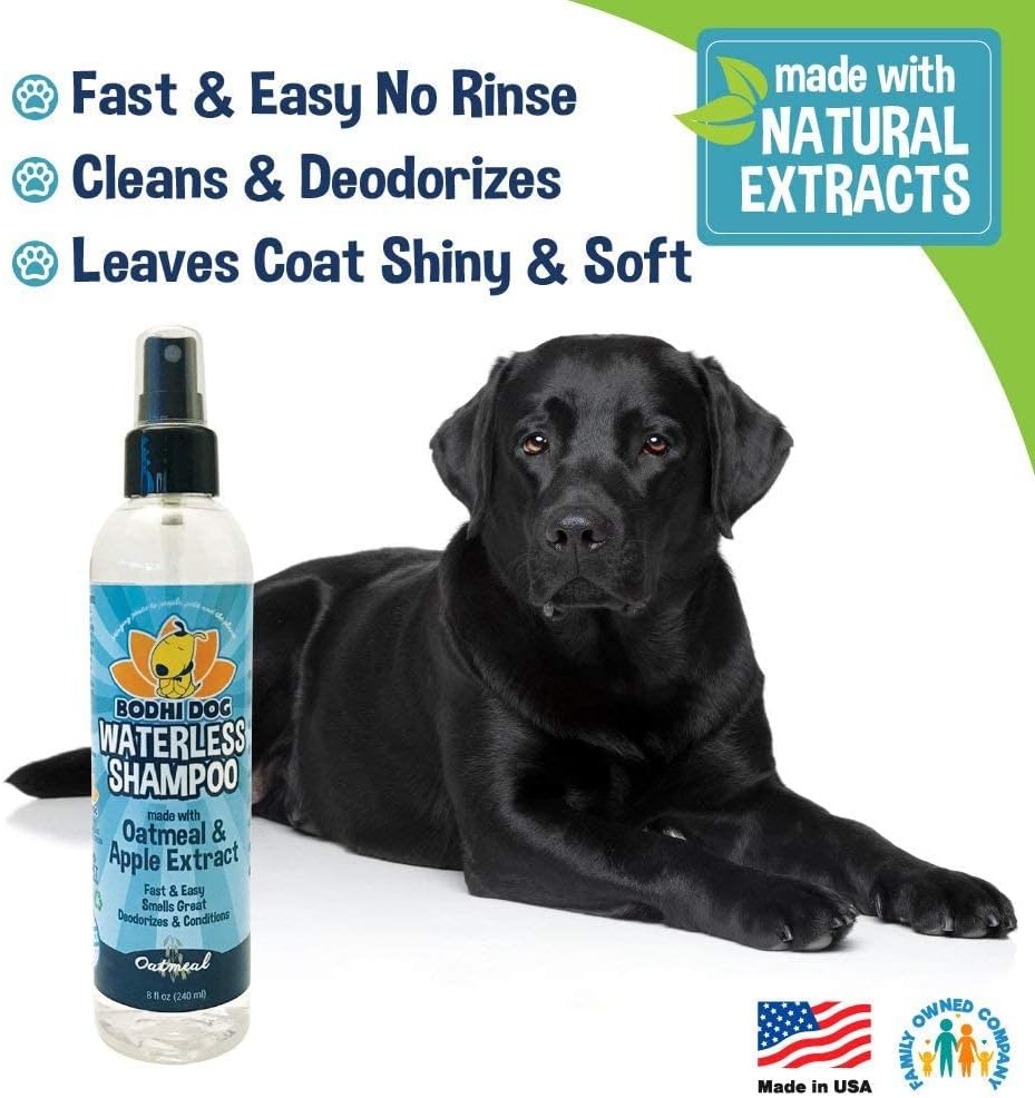 Bodhi Dog Waterless Shampoo | Natural Dry Shampoo for Dogs or Cats | Neutralizes Pet Odor | No Rinse Required | Made with Natural Extracts | Vet Approved- Made in USA (Oatmeal and Apple, 8 Fl Oz)