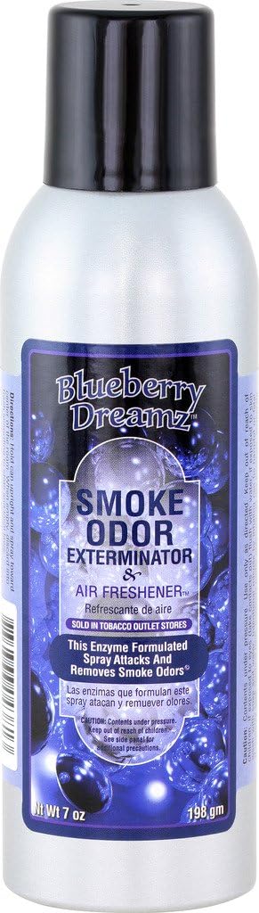 Paul Hoge Creations Smoke Odor Exterminator 7oz Large Spray, Blueberry Dreamz : Health & Household