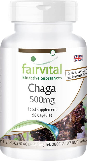 Fairvital | Chaga 500mg - VEGAN - HIGH DOSAGE - 90 capsules - Inonotus obliquus - mushroom powder