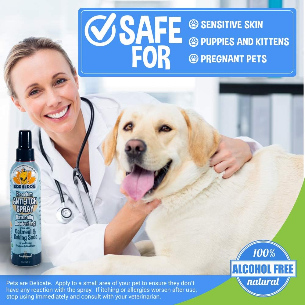 Bodhi Dog Anti Itch Spray | Natural Soothing Relief for Dry, Itchy, Bitten or Allergy Damaged Skin Treatment | Anti Itch Spray for Dogs & Cats | Made in USA (Oatmeal, 8 oz) : Pet Supplies