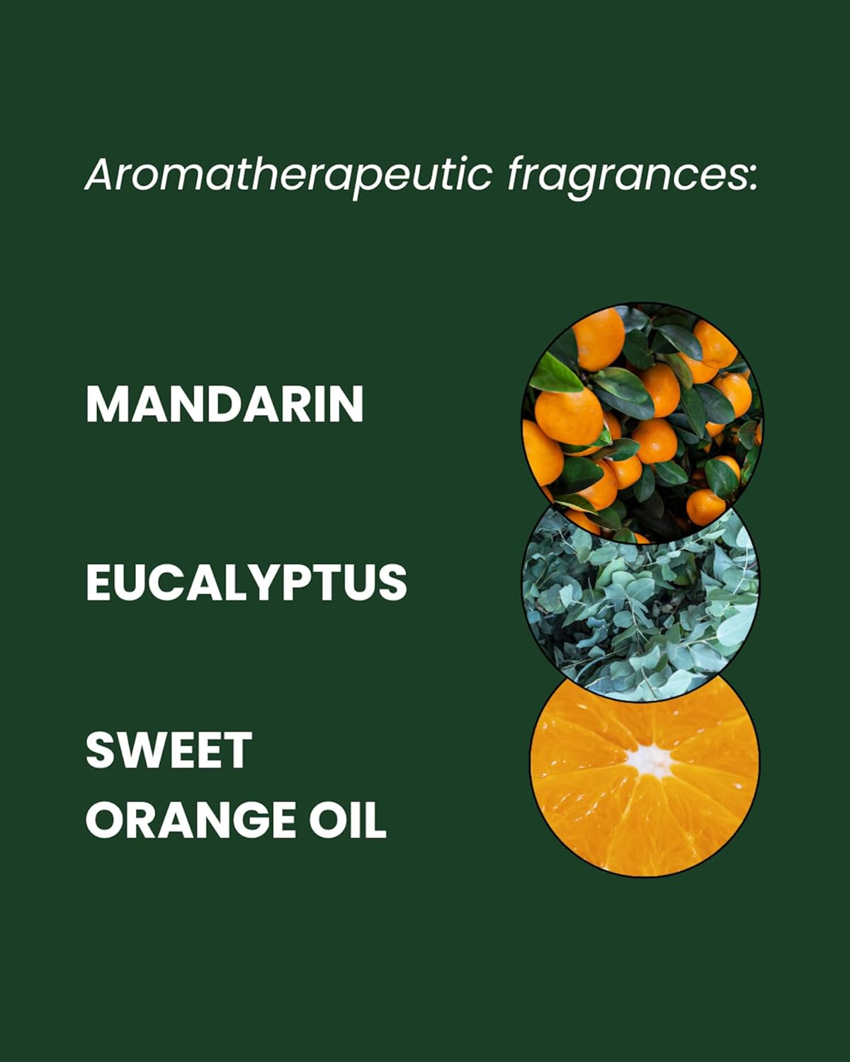 ManCave Mandarin Shower Gel for Men, Woody Citrus Aroma with Eucalyptus and Sweet Orange Oil, Sulphate and Paraben Free, Natural, Vegan, Cruelty Free, 500 ml : Amazon.co.uk: Beauty