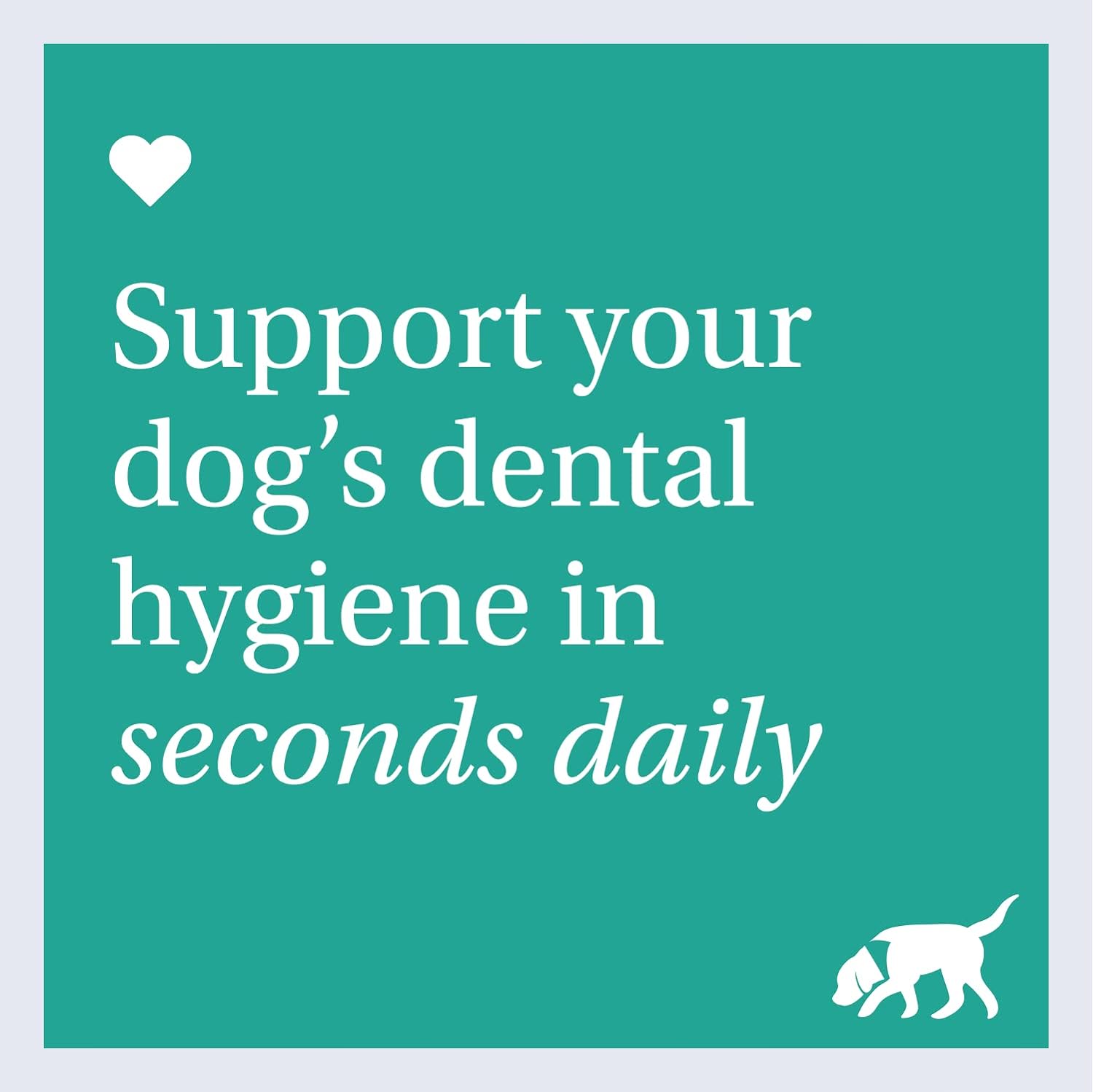PetLab Co. Dog Dental Formula – Help Keep Breath Fresh, Target Plaque & Tartar Build-Up - Easy to Use - Support Overall Oral Hygiene - Dental Formula for Dogs :Pet Supplies
