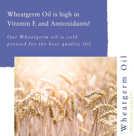 Absolute Aromas Wheatgerm 500Ml - 100% Pure, Natural And Rich In Vitamin E Carrier Oil - For Massage, Aromatherapy And Blending Essential Oils