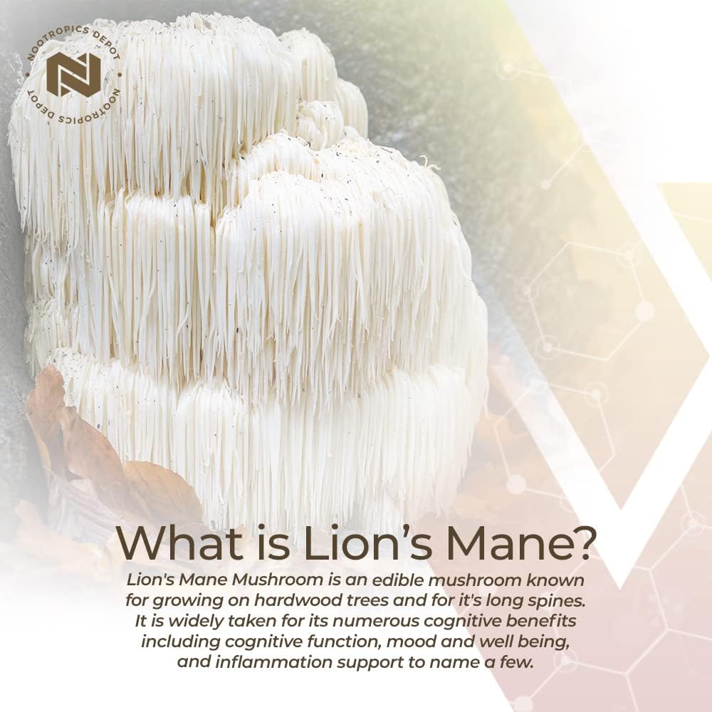 Nootropics Depot Lions Mane Mushroom Capsules | 8:1 Whole Fruiting Body Dual Extract | 500mg | 60 Count | Hericium erinaceus : Health & Household