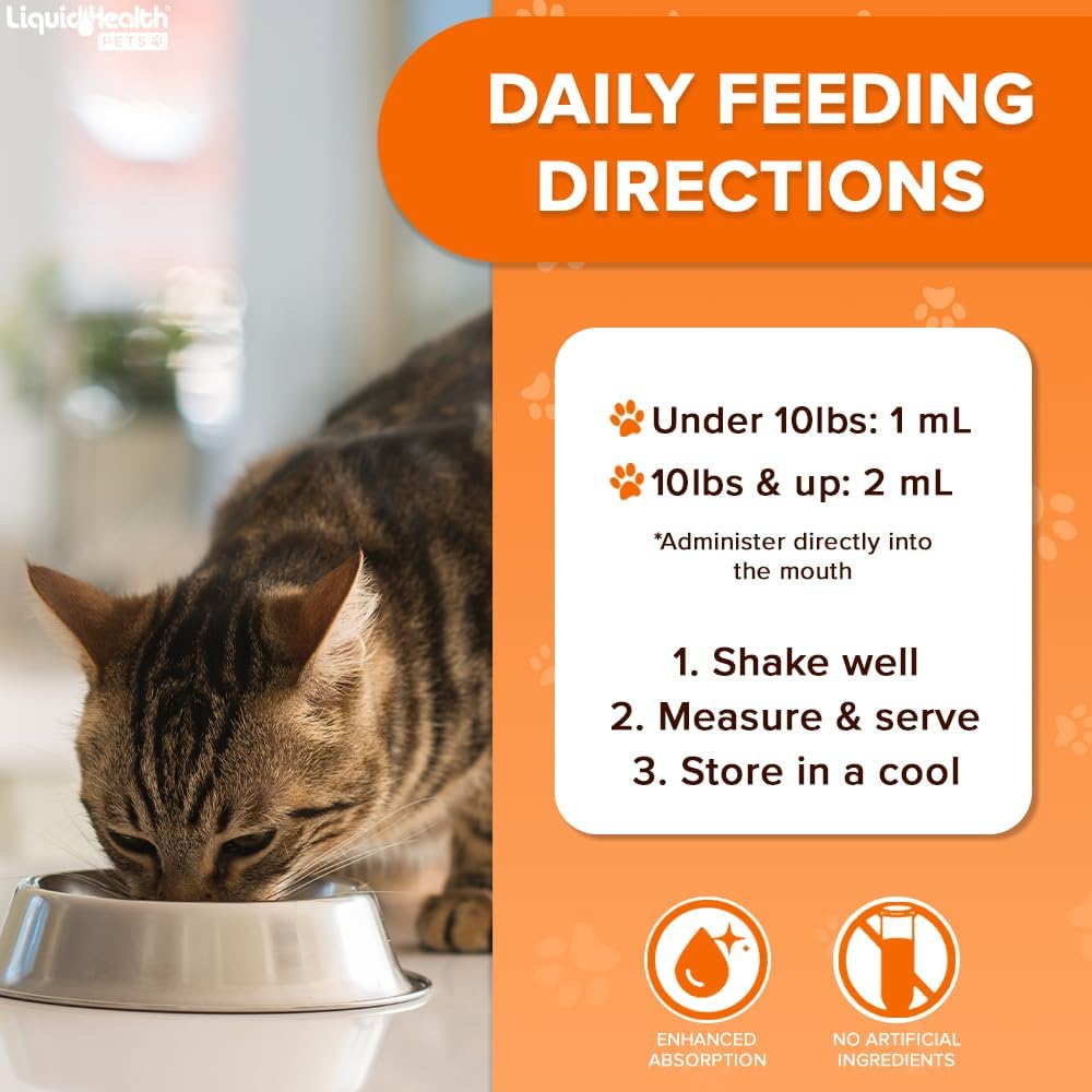 Liquidhealth Pets Liquid Cat Glucosamine Joint Purr-Fection - Hip & Joint Health Relief Support, Chondroitin Feline Droppers For Senior Older Adult Cats & Kittens - Made In The Usa (2 Oz) : Joint Purrfection : Pet Supplies